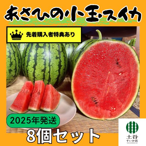 スイカ@プロフ必読様専用 あゆか(プロフ必読)様専用 食品詰め合わせ