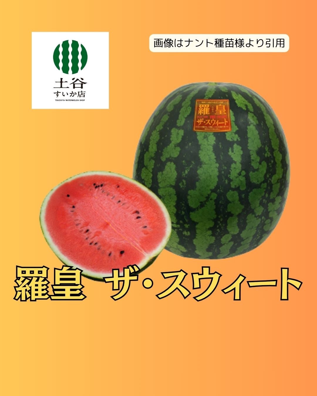 すいかさま専用 すいかさま専用 【公式通販】